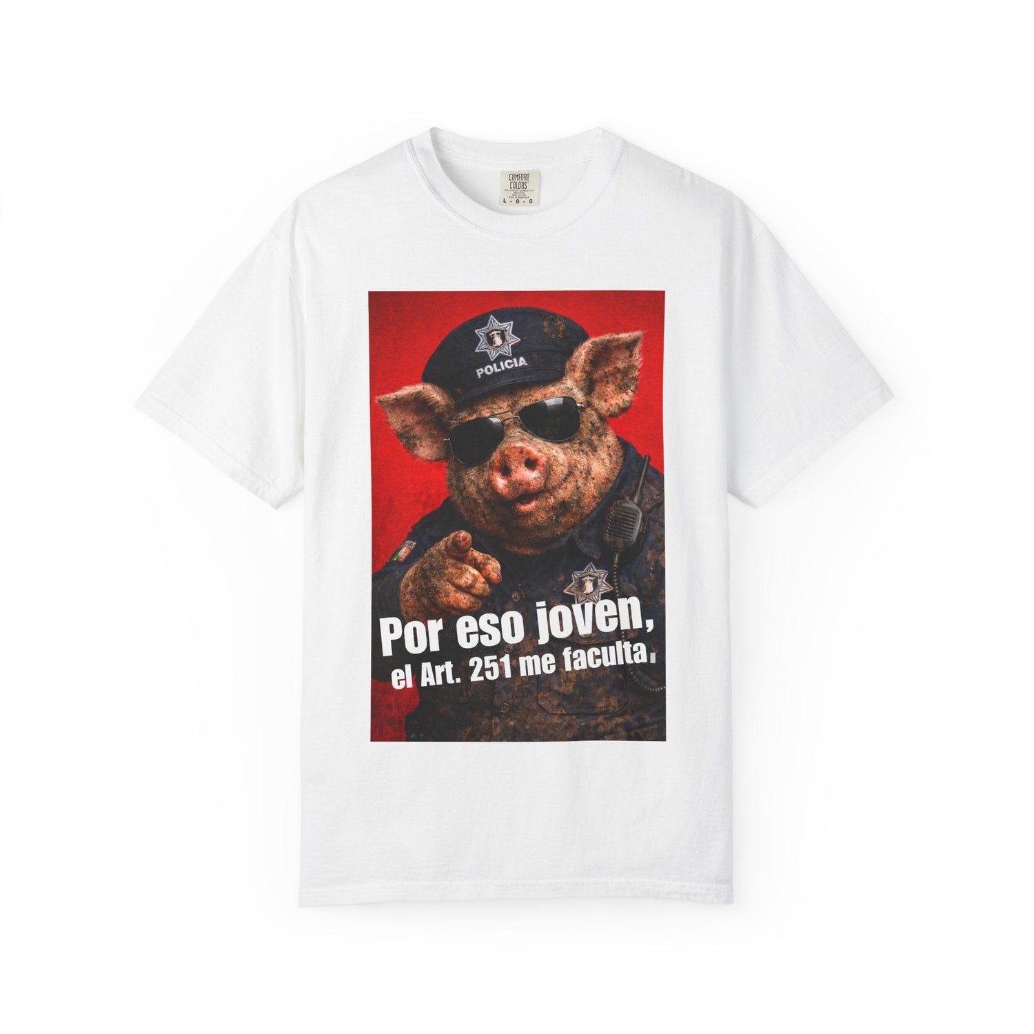 Artículo 251 del CNPP