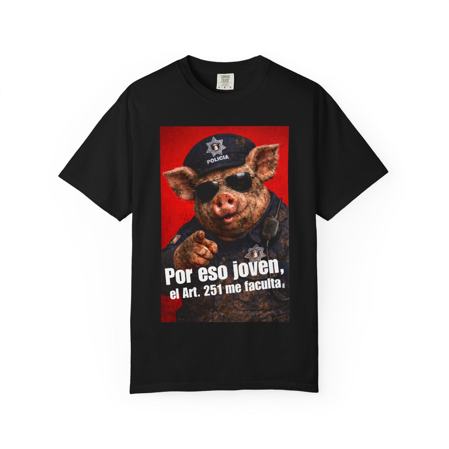 El artículo 251 del CNPP