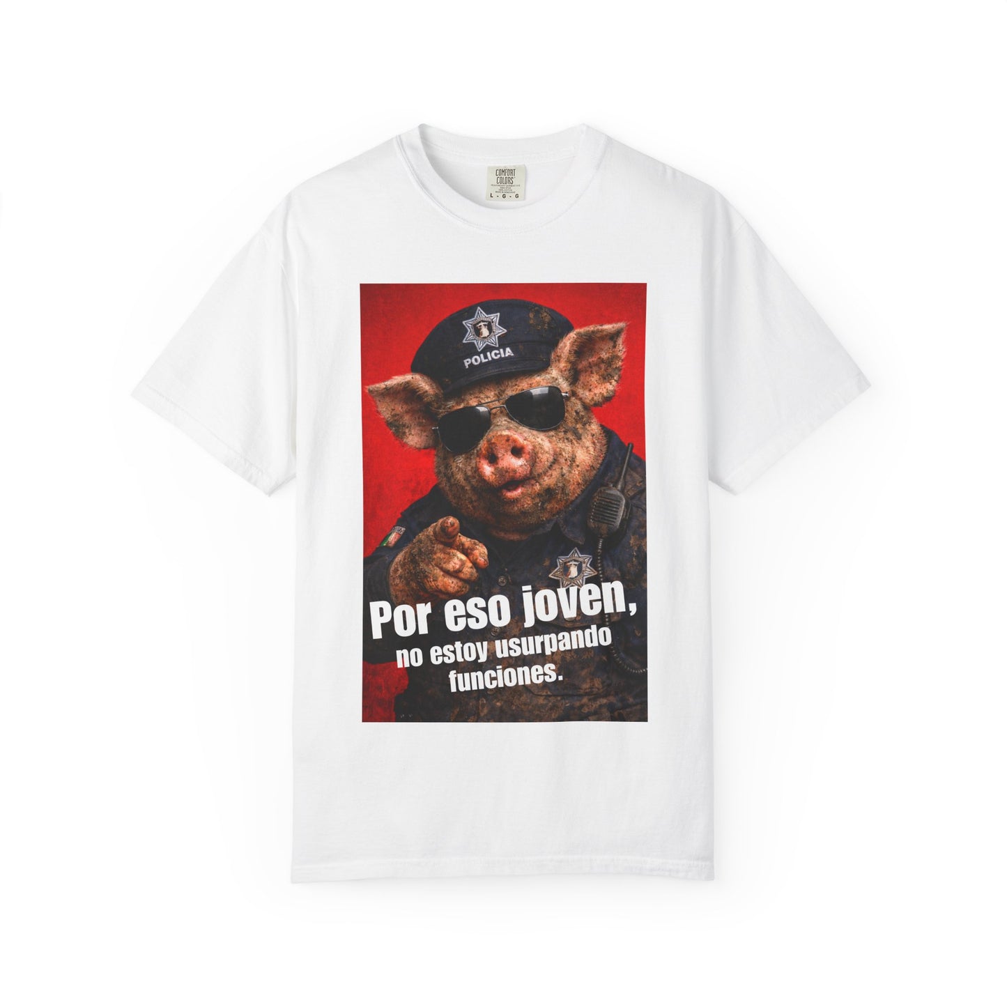 No estoy usurpando funciones